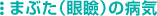 �ޤ֤��ʴ��ۡˤ��µ�