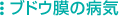 �֥ɥ�����µ�